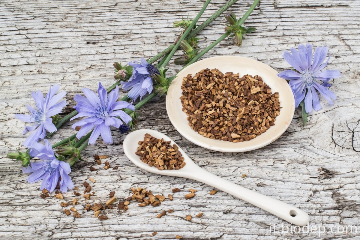 Lactobacillus salivarius4 lactobacillus salivarius4